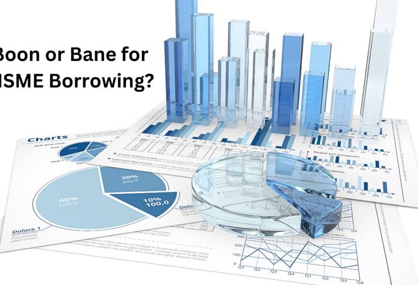 MSME Borrowing